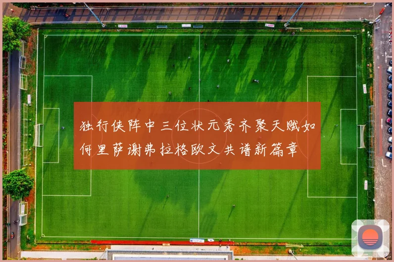 独行侠阵中三位状元秀齐聚天赋如何里萨谢弗拉格欧文共谱新篇章