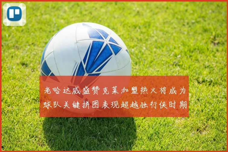 老哈达威盛赞克莱加盟热火将成为球队关键拼图表现超越独行侠时期
